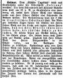 Grussenheim Elsass FrfIsrFambl 15041904.jpg (114682 Byte)
