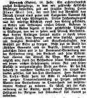 Loerrach Israelit 18021909.jpg (126446 Byte)