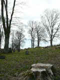 Berlichingen 200816.jpg (107433 Byte)