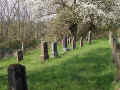 Burg Graefenrode Friedhof 154.jpg (211948 Byte)