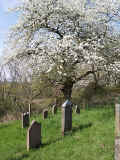 Burg Graefenrode Friedhof 157.jpg (231627 Byte)