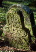 Schopfloch Friedhof 812.jpg (64336 Byte)