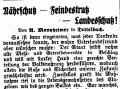 Dettelbach Israelit 11021915.jpg (55311 Byte)
