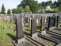 Luzern Friedhof a223.jpg (201445 Byte)