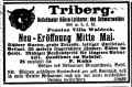 Triberg Israelit 22071909.jpg (75984 Byte)