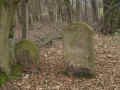 Altwiedermus Friedhof 145.jpg (111669 Byte)
