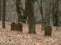 Gettenbach Friedhof 182.jpg (123612 Byte)