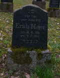 Simmern Friedhof 320.jpg (117222 Byte)