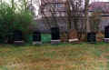 Stralsund Friedhof 1996016.jpg (116780 Byte)