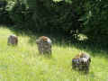 Freudenburg Friedhof 213.jpg (120272 Byte)