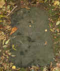 Herborn Friedhof 188.jpg (103763 Byte)