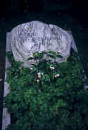 Pforzheim Friedhof n174.jpg (51058 Byte)