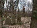Birstein Friedhof 176.jpg (122722 Byte)