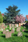 Otterstadt Friedhof 181.jpg (562928 Byte)