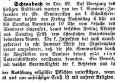 Schwabach Israelit 29121869.jpg (65087 Byte)