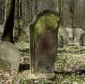 Creglingen Friedhof 807.jpg (268815 Byte)