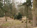 Hanau Friedhof 177.jpg (119020 Byte)