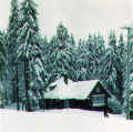 Oberhof Sommerhaus Magnus 016.jpg (109604 Byte)