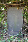 Cannstatt Friedhof 071116.jpg (147070 Byte)