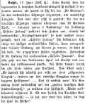 Kassel AZJ 29061886e.jpg (100156 Byte)