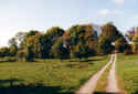 Grosssachsenheim KZ Friedhof 150.jpg (63345 Byte)