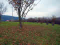 Hinzweiler_F_20111024-122646.jpg (300147 Byte)