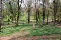 Schopfloch Friedhof 1204019.jpg (302050 Byte)