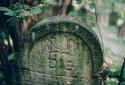 Hemsbach Friedhof 181.jpg (56103 Byte)