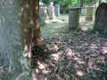 Stuttgart Friedhof Ho 2013 165.jpg (289008 Byte)