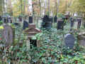 Boedigheim Friedhof 3438.jpg (302451 Byte)