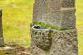 Butzbach Friedhof K1600_IMG_6336.jpg (253797 Byte)