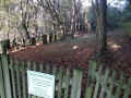 Ranstadt Friedhof 20141024_110317.jpg (440071 Byte)