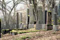 Bad Schwalbach Friedhof n IMG_5125.jpg (168248 Byte)