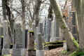 Bad Schwalbach Friedhof n IMG_5126.jpg (165719 Byte)