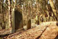 Ranstadt Friedhof IMG_7619.jpg (297213 Byte)