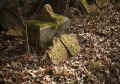 Bisses Friedhof IMG_7700.jpg (171510 Byte)