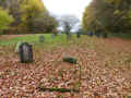 Dachsenhausen Friedhof 2015-11-06.jpg (373127 Byte)