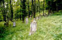 Gailingen Friedhof 800.jpg (109696 Byte)