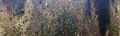 Bad Kissingen Friedhof R 1-2a.jpg (269686 Byte)