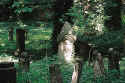 Dessau Friedhof 010.jpg (53059 Byte)