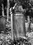 Hechingen Friedhof 247.jpg (94485 Byte)