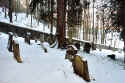Hohenems Friedhof 220.jpg (55932 Byte)