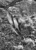 Schopfloch Friedhof 220.jpg (99694 Byte)
