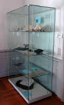 Schriesheim Vitrine 01.jpg (40013 Byte)