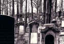 Boedigheim Friedhof27.jpg (129458 Byte)