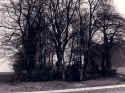 Untereubigheim Friedhof01.jpg (165628 Byte)